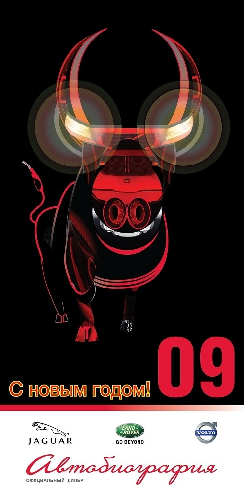 new-year-2009-autobiography3-cr.jpg